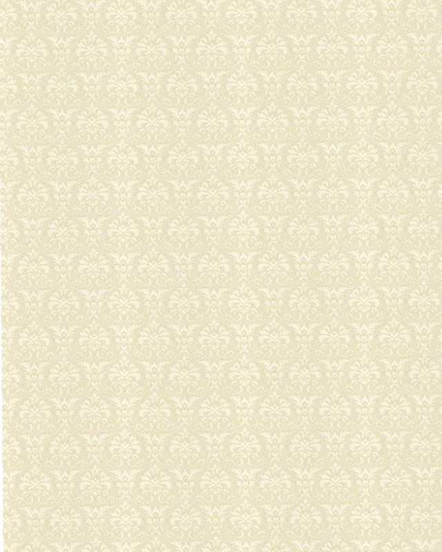 ZN009-1 (FILEminimizer).JPG